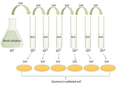 tube c dilution schematic